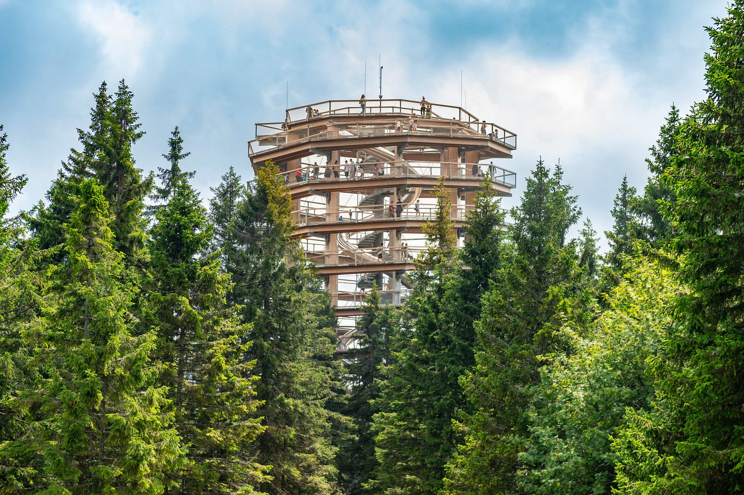 atlantics_edelstahlrutschen_baumwipfelpfad_rogla-slowenien_matten_198513DSC5653