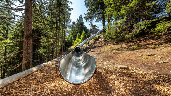 atlantics_edelstahlrutschen_waldtierweg-gleins_mieders_stubaital_roehre_208651