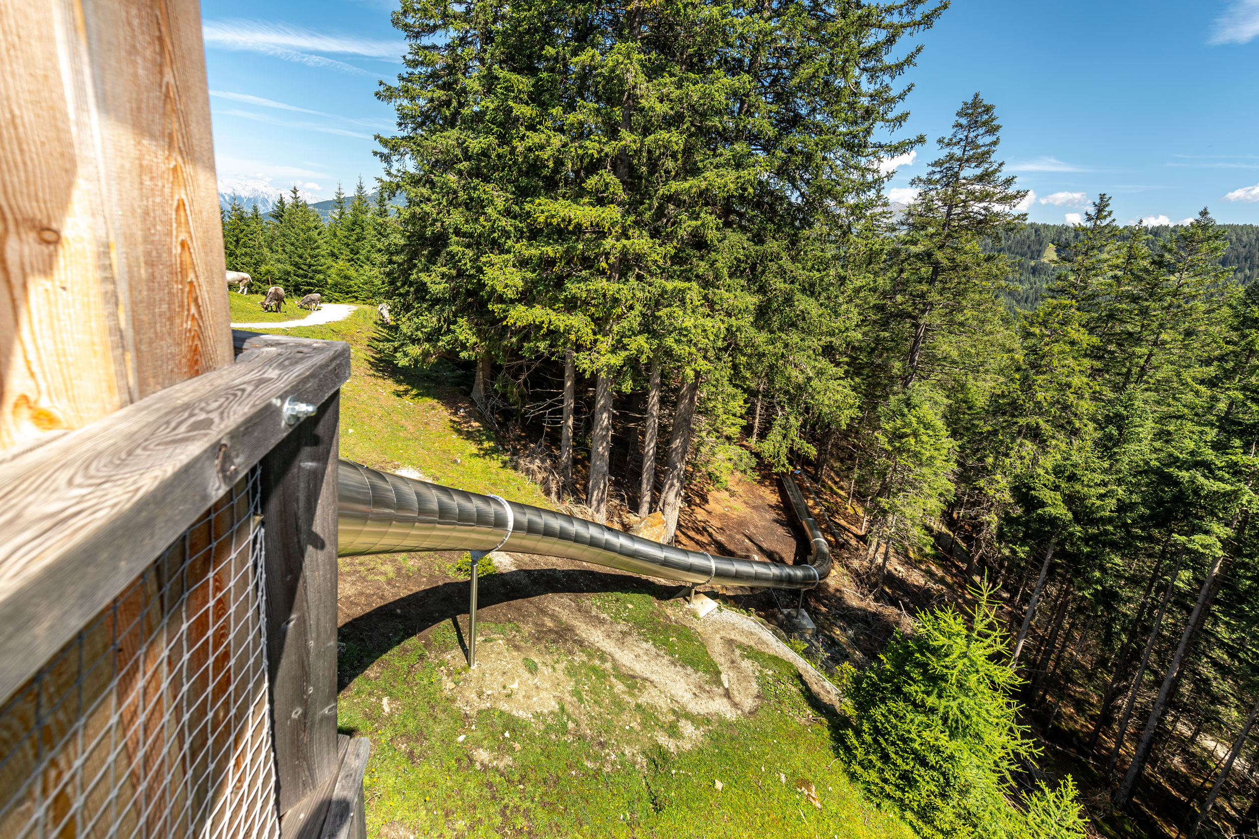 atlantics_edelstahlrutschen_waldtierweg-gleins_mieders_stubaital_wandergebiet_208651