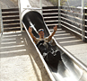 Tubular Slides – Adventure Park Enciso