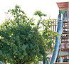 Playground Slides – Leisure Park Niederbüren