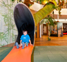 Indoor Slides – Steiff Museum Giengen
